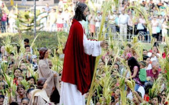 Domingo de Ramos